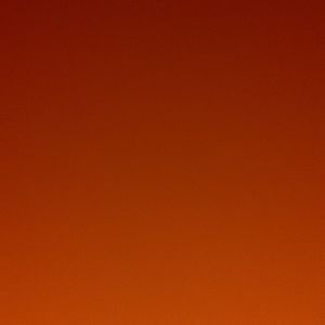 Meet your Posher, Odile